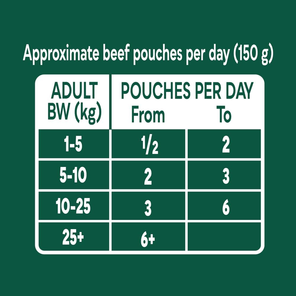 Natures Menu Country Hunter Wet food for Dogs - Multipack Superfood Selection Pouches - 12 x 150g