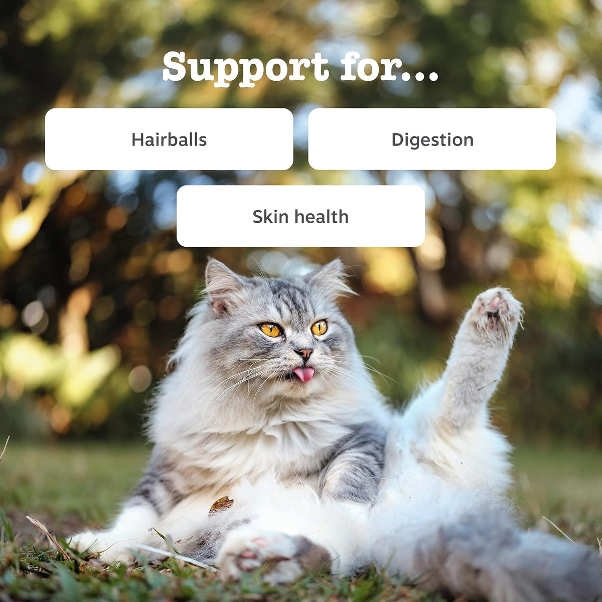 Zesty Paws Anti-Hairball Paste for Cats, Real Fish Flavour, 75g
